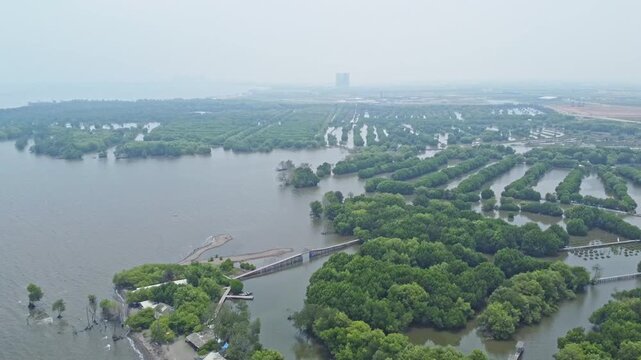 An aerial shot showing mangrove wetland and a modern urban cityscape with high-rise buildings and a highway. Great for projects on urbanization, real estate, Mangrove near city