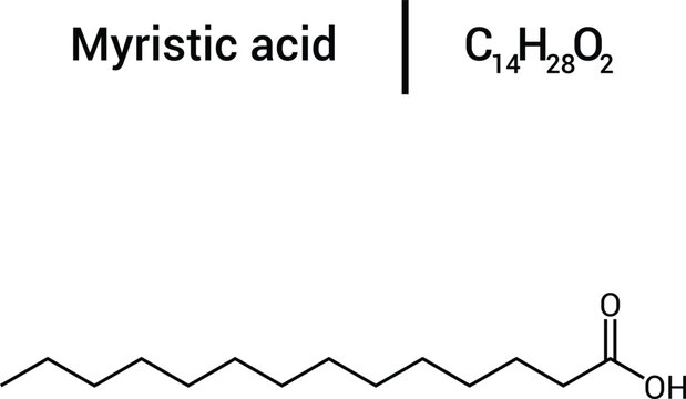 Myristic Acid Chemical Structure Saturated Fatty Acid Molecule Formula Diagram