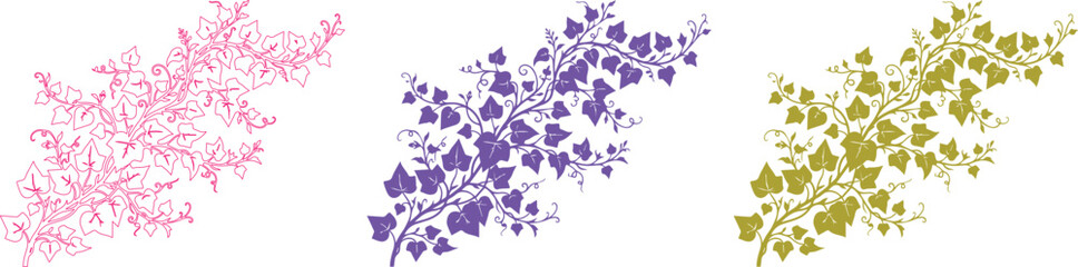 Fototapeta premium Elegant botanical ivy vine vector collection, three colorful floral branches in pink, purple, and olive green, decorative nature elements for design projects isolated on White Background
