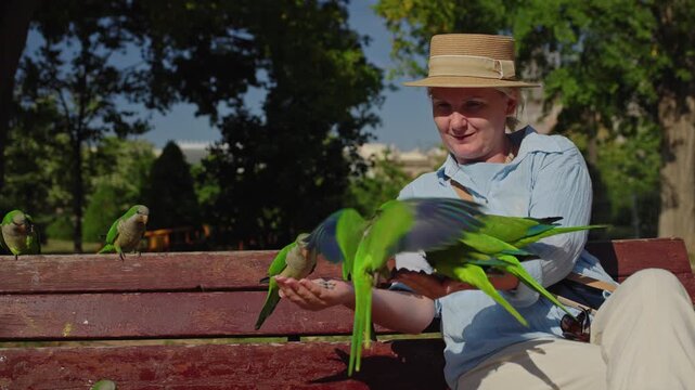 Woman feeding monk parakeets on park bench in Ciutadella Park near Arc de Triomf in Barcelona