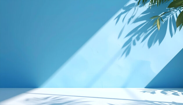 Minimalist Blue Studio with Natural Light and Leaf Shadows.