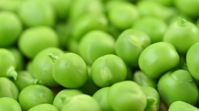 video of young green peas