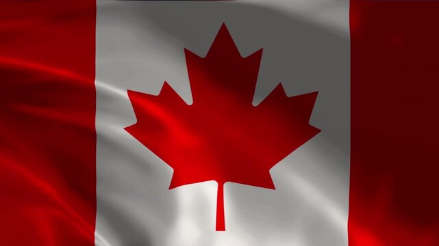 Flag of the Canada waving animation. looping National France flag animation background 4k
