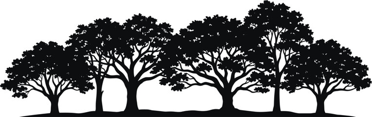 Fototapeta premium Forest Tree Silhouette Border with Dense Woodland Landscape and Nature Scene