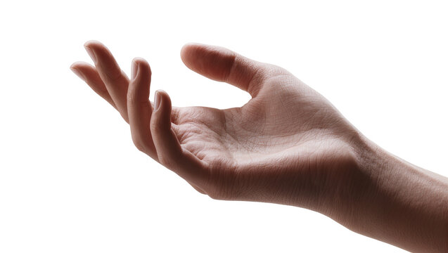 Open human hand reaching up with palm facing upwards
