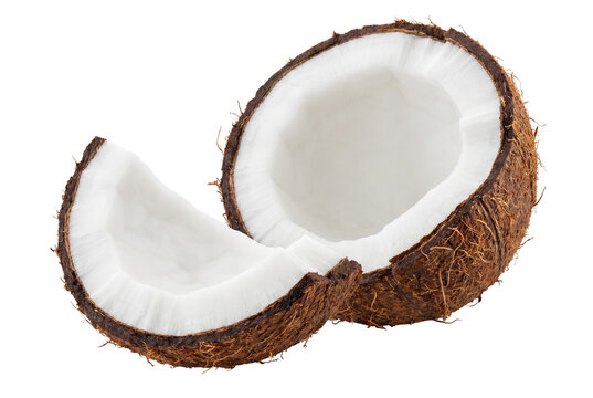 Two Pieces of Fresh Cracked Coconut Showing White Meat and Brown Husk