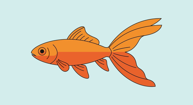 Orange Goldfish Swimming Alone.