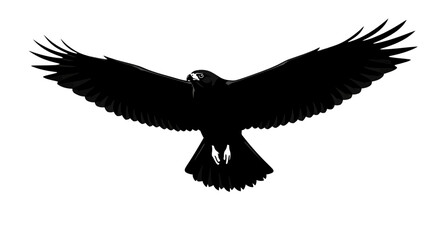 Obraz premium Silhouette of a soaring large bird.