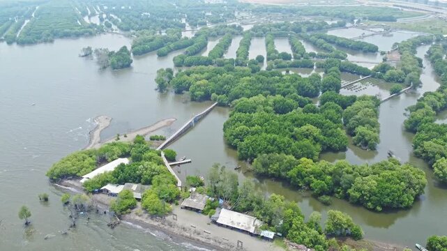 An aerial shot showing mangrove wetland and a modern urban cityscape with high-rise buildings and a highway. Great for projects on urbanization, real estate, Mangrove near city