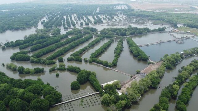 An aerial shot showing mangrove wetland and a modern urban cityscape with high-rise buildings and a highway. Great for projects on urbanization, real estate, Mangrove near city