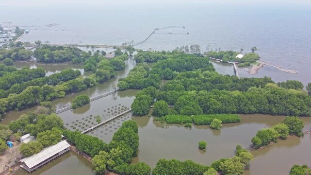 An aerial shot showing mangrove wetland and a modern urban cityscape with high-rise buildings and a highway. Great for projects on urbanization, real estate, Mangrove near city
