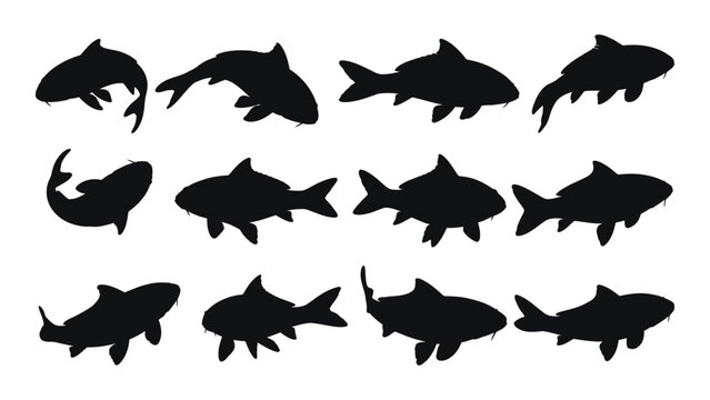 Black fish silhouettes set on white background