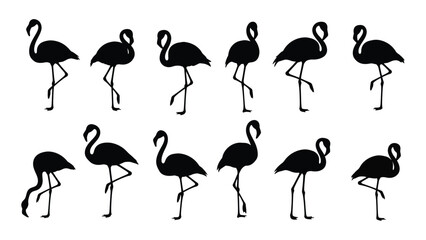 Black flamingo silhouettes walking in different poses © Tonu