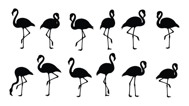 Black flamingo silhouettes walking in different poses