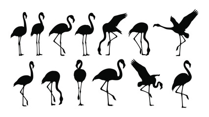 Black flamingo silhouettes in various poses © Tonu