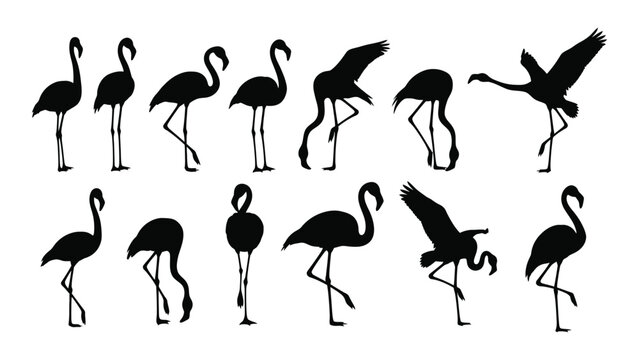 Black flamingo silhouettes in various poses
