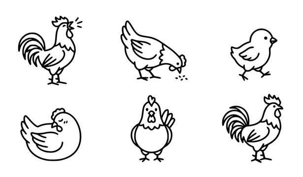 Minimalist chicken line art vector set with six black and white farm bird illustrations in different poses