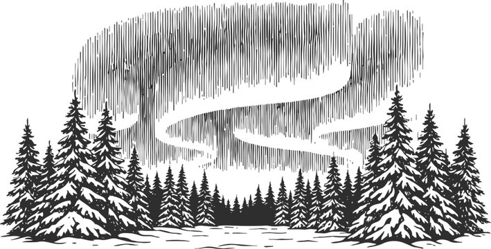 Winter forest landscape with snow covered pine trees and swirling northern lights engraving design