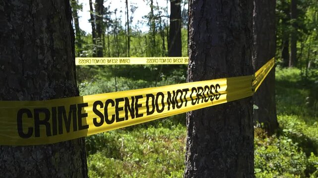 Secured crime scene in a sunny forest with yellow do not cross tape wrapped around pine trees, preventing unauthorized entry and protecting crucial evidence during an ongoing investigation