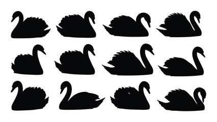Black swan silhouettes on white background © Tonu
