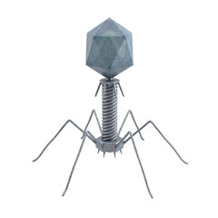 Fototapeta premium Bacteriophage T2 Virus Isolated
