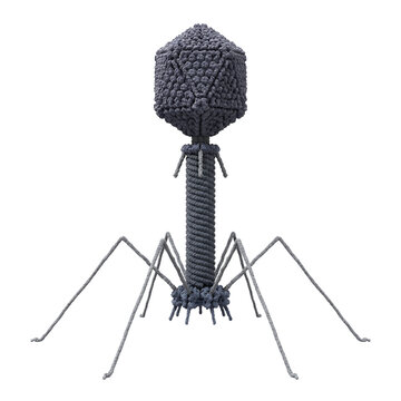 Bacteriophage T2 Virus Isolated on Transparent Background