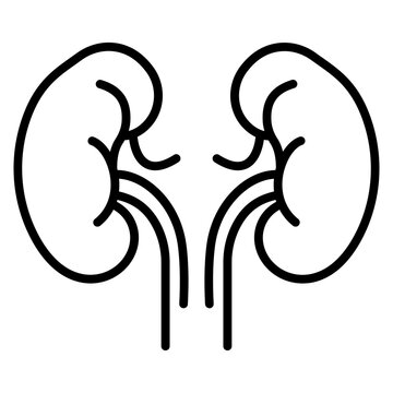 Kidney Function Icon