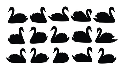 Black swan silhouettes on white background © Tonu