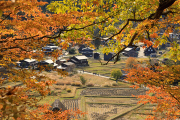 秋の紅葉 白川郷 合掌造り集落 ( 岐阜県 白川村 ) © Makoto-san