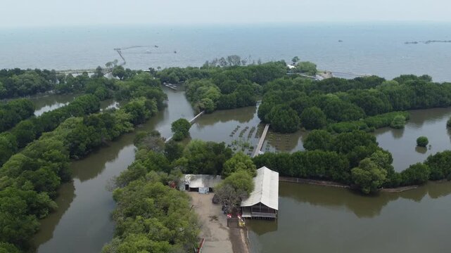 An aerial shot showing mangrove wetland and a modern urban cityscape with high-rise buildings and a highway. Great for projects on urbanization, real estate, Mangrove near city