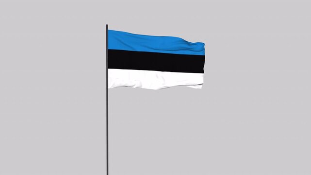 Estonia Flag Animation 4K Transparent Background with Alpha Channel