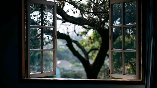 A serene view through an open window capturing the fresh air and warm sunlight of a sunny day