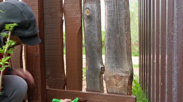 Brown oil for protection of wood by staining. Painting fence for protecting and pests. Woodworker applying finish to pine deck board. Repairman varnishing with brush wooden fencing wall plank surface.