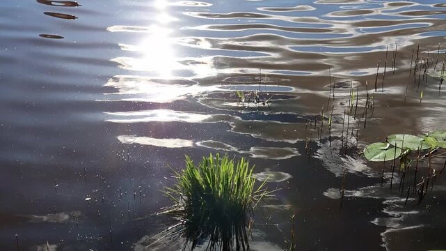 Slow Motion Sunlight sparkling and glittering on lake water