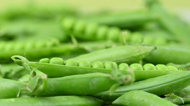 video of young green peas