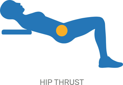 Person performing hip thrust exercise on bench