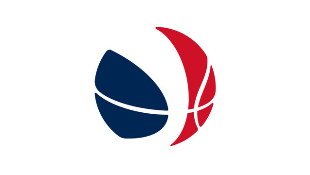 france  basketball flag, color vector illustration