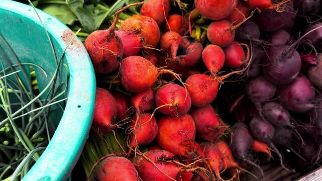 Close-up view revealing fresh organic garlic scapes in a bucket and vibrant red and purple beets at a local farmers market display