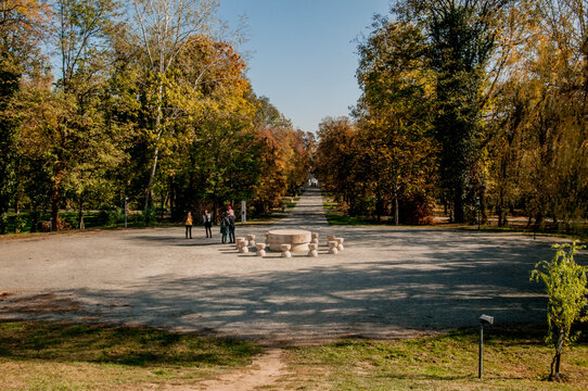 autumn in the park