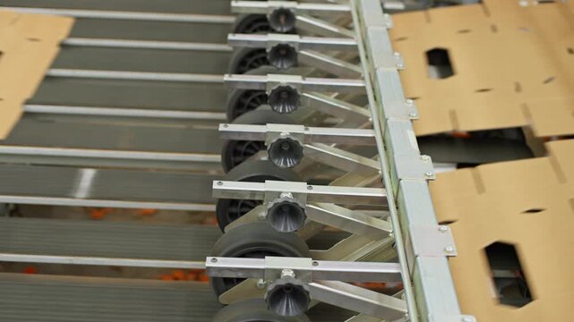 Cardboard box blanks moving through automated packaging machine on factory conveyor line, medium static as they flatten below rollers