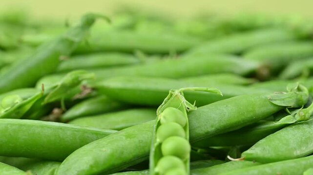 video of young green peas