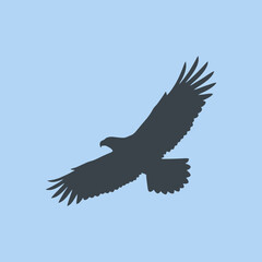 Obraz premium A dark silhouette of a large bird flying in the sky