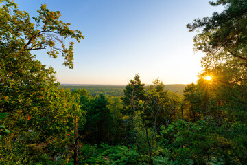 Fototapeta premium Crest of the Corne-Biche rock in Fontainebleau forest 