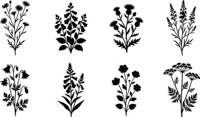 Fototapeta premium Wildflower Silhouette Collection with Botanical Meadow Plants and Floral Herb Vector Set for Nature Design