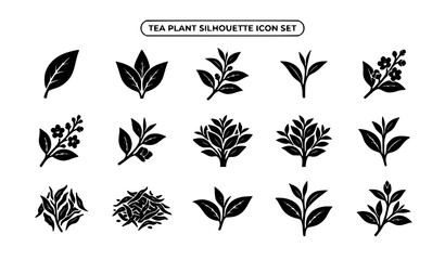Fototapeta premium Tea Plant Silhouette Vector Icon Set