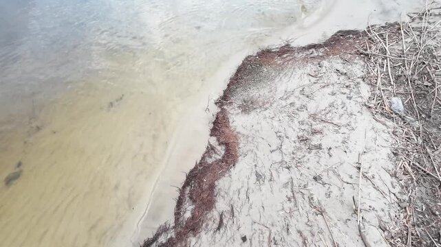 Clean white sandy beach with brown roots on Dnipro river in early April