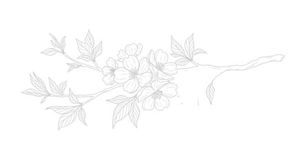 Fototapeta premium Floral Sketch