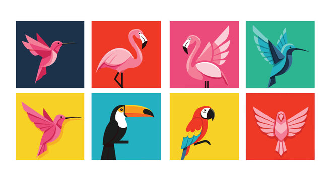 Grid of eight stylized bird icons in geometric shapes and vibrant colors including hummingbirds, flamingos, toucans, and parrots.