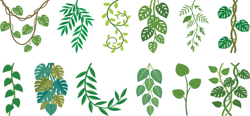 Tropical Hanging Plant Collection with Decorative Vines Cascading Foliage and Botanical Leaves for Jungle Borders and Nature Vector Illustrations © MstSuborna