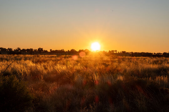 Sunset in grasslands near Uluru in Australia